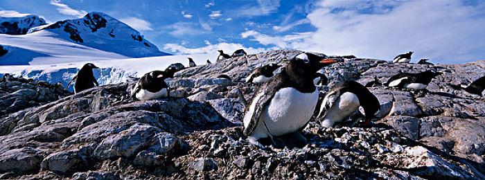 《无主之地4》加入小吵闹音量 可以完全让小吵闹闭嘴