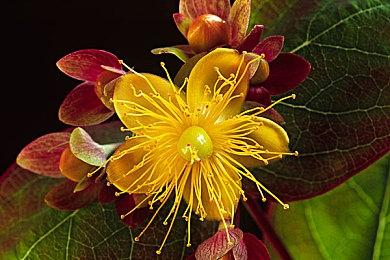 Steam春季特卖开启 《毁灭战士4》只要8块3