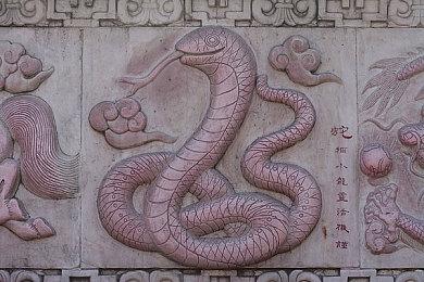 《炉石传说》全新迷你系列“潮汐王座”6月1日推出