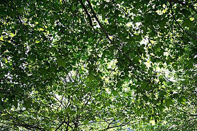 肉鸽动作《骑士VS巨人：断裂圣剑》上市日期公布